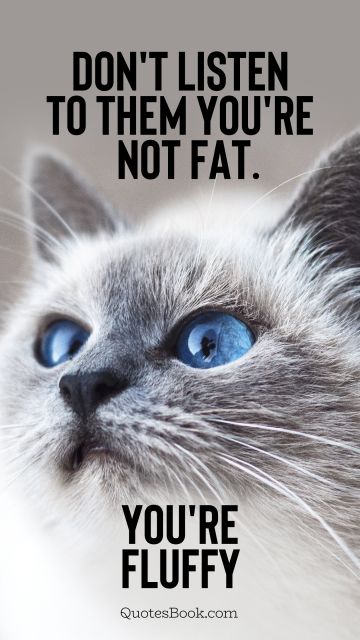 Memes Quote - Don't listen to them you're not fat. You're fluffy. Unknown Authors