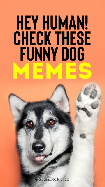 Search Results Quote - Hey human! Check these funny dog memes. Unknown Authors