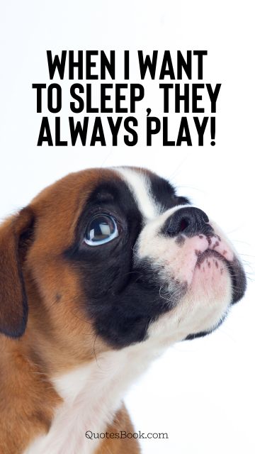 Memes Quote - When I want to sleep, they always play!. Unknown Authors