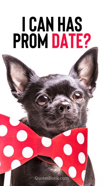 I can has prom date?