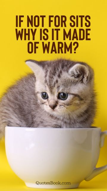 If not for sits why is it made of warm?