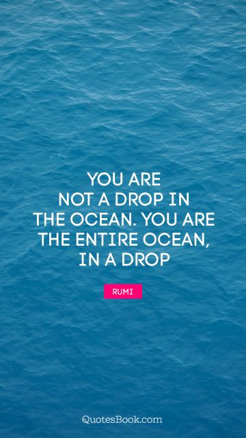 You are not a drop in the ocean. You are the entire ocean, in a drop