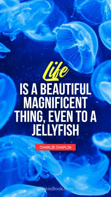 Life Quote - Life is a beautiful magnificent thing, even to a jellyfish. Charlie Chaplin