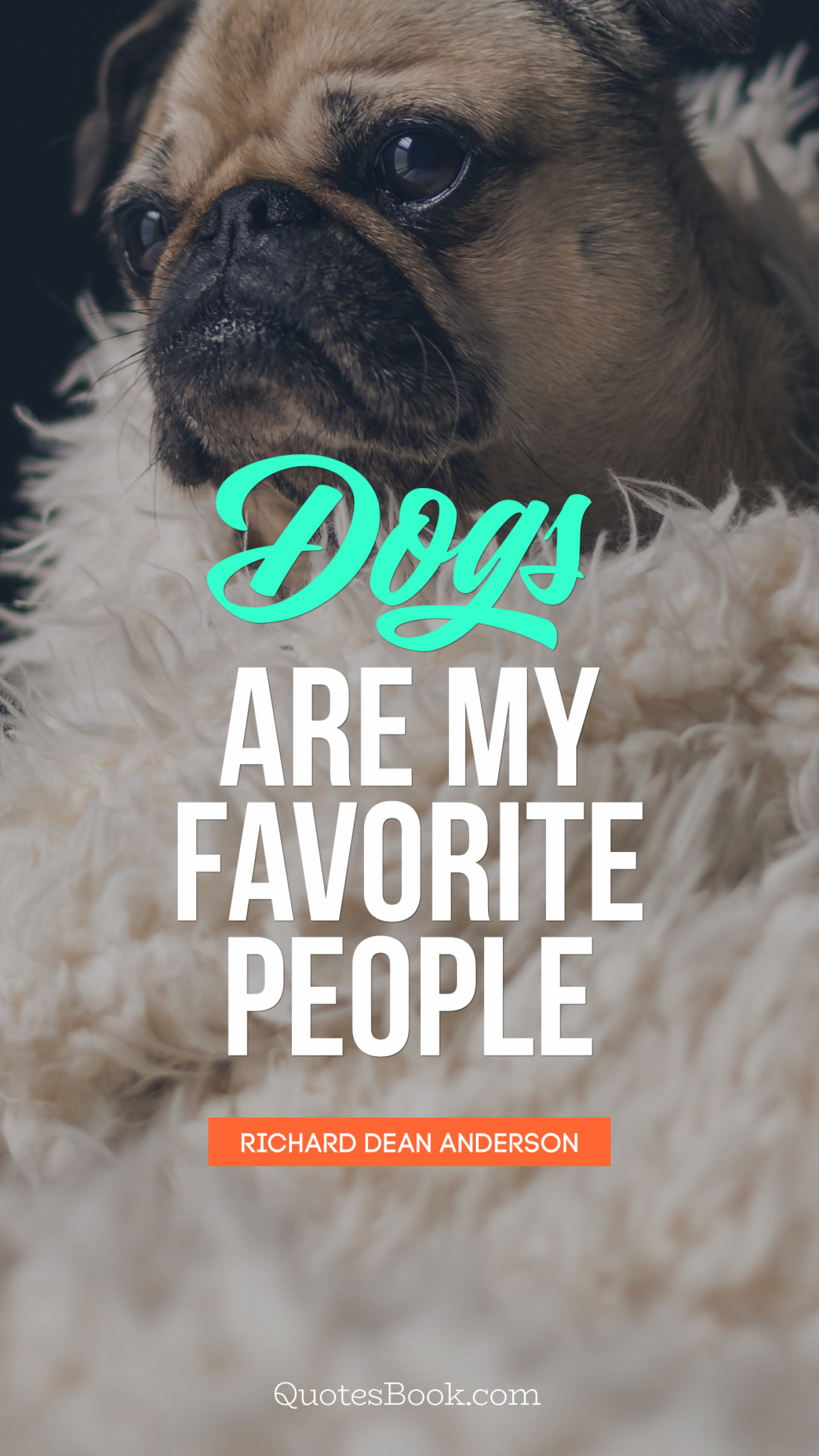Dogs are my favorite people . - Quote by Richard Dean Anderson - QuotesBook
