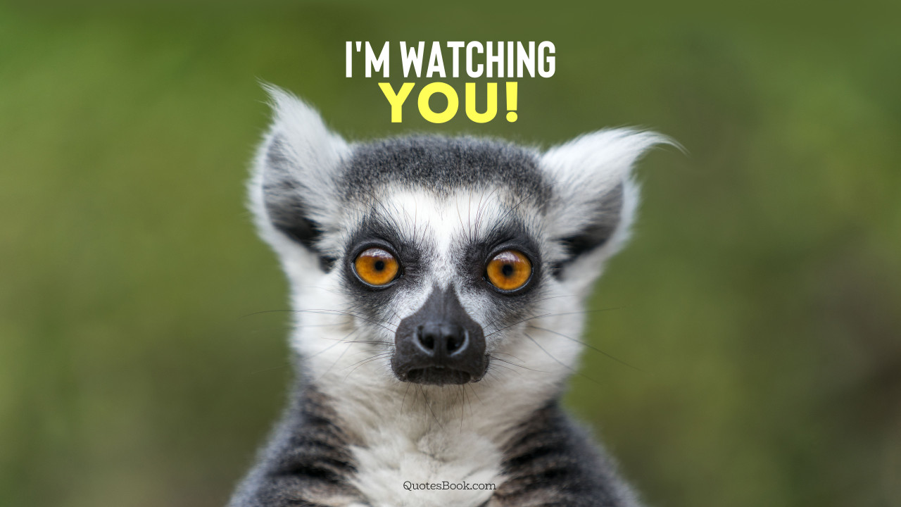 I M Watching You Quotesbook