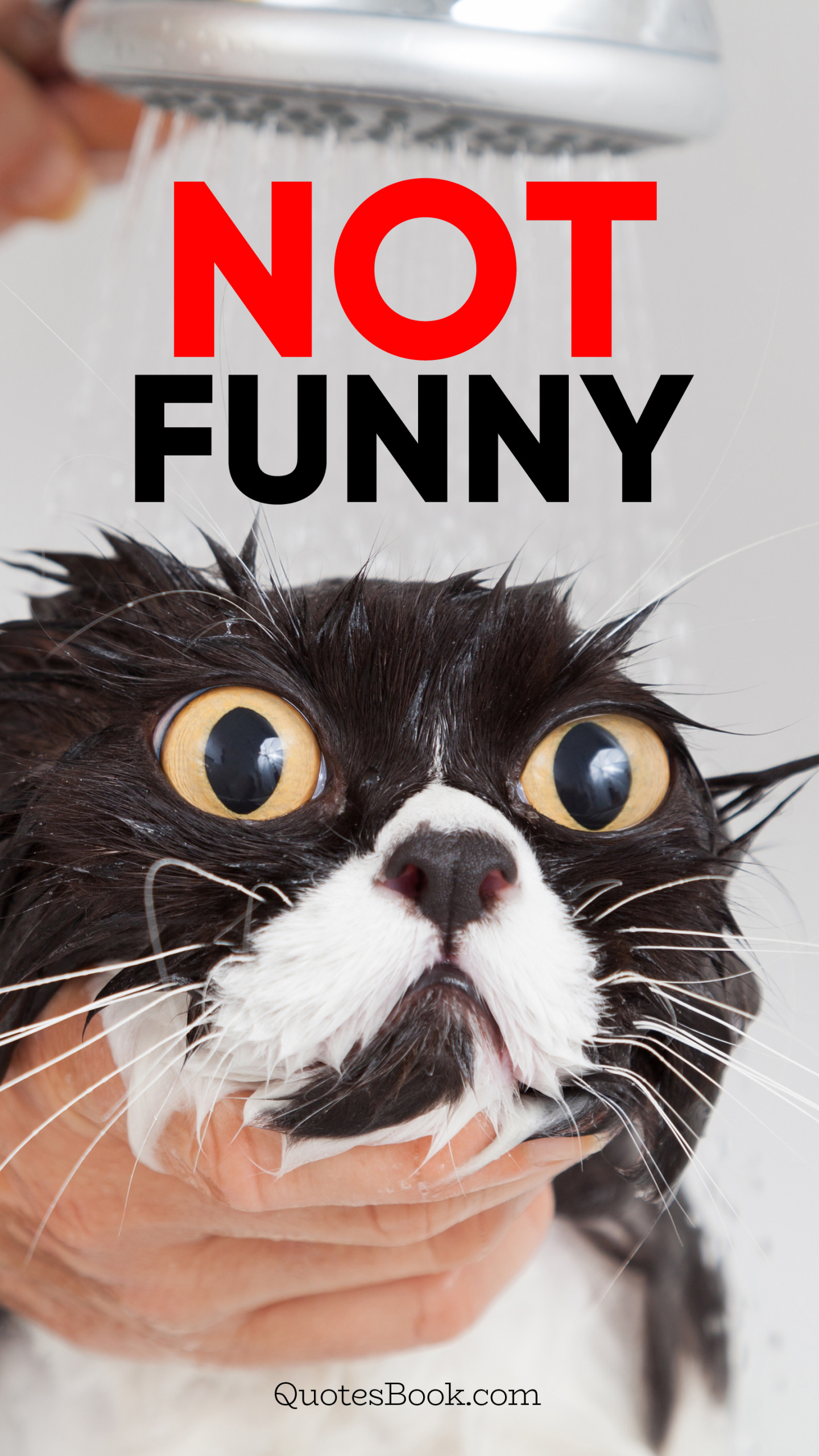 not funny 1440x2560 4398