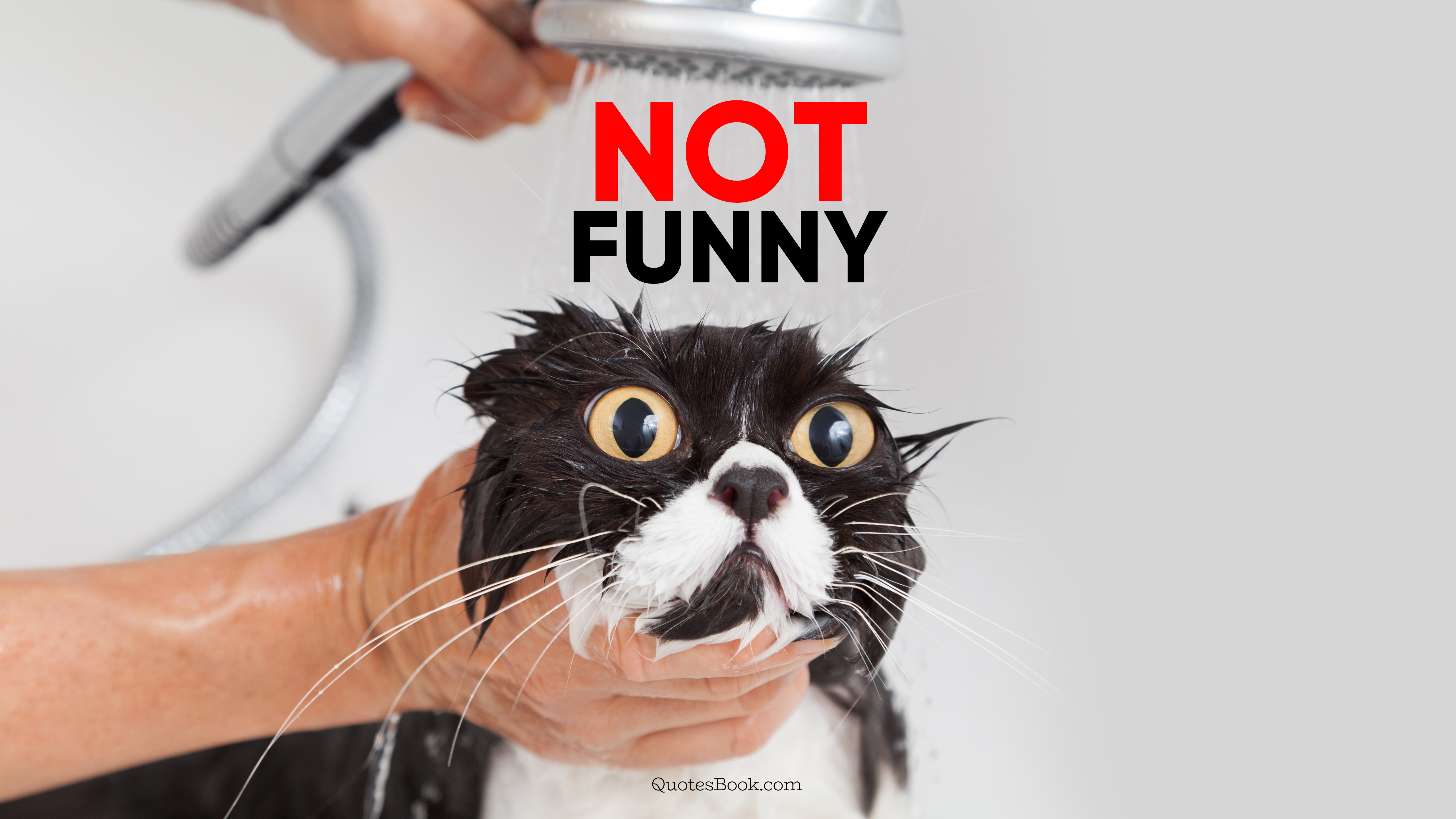 Not funny - QuotesBook