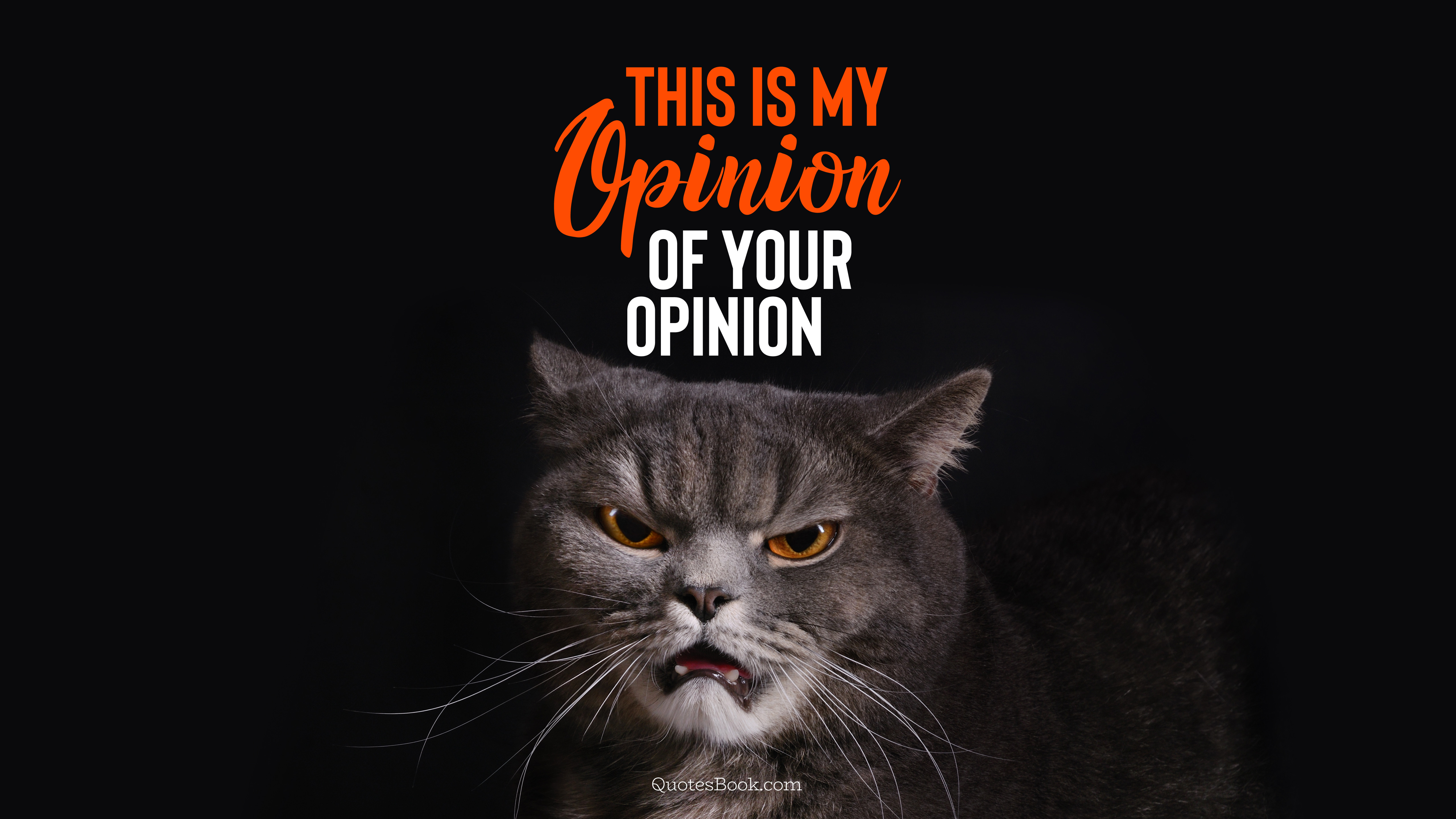 This is my opinion of your opinion - QuotesBook