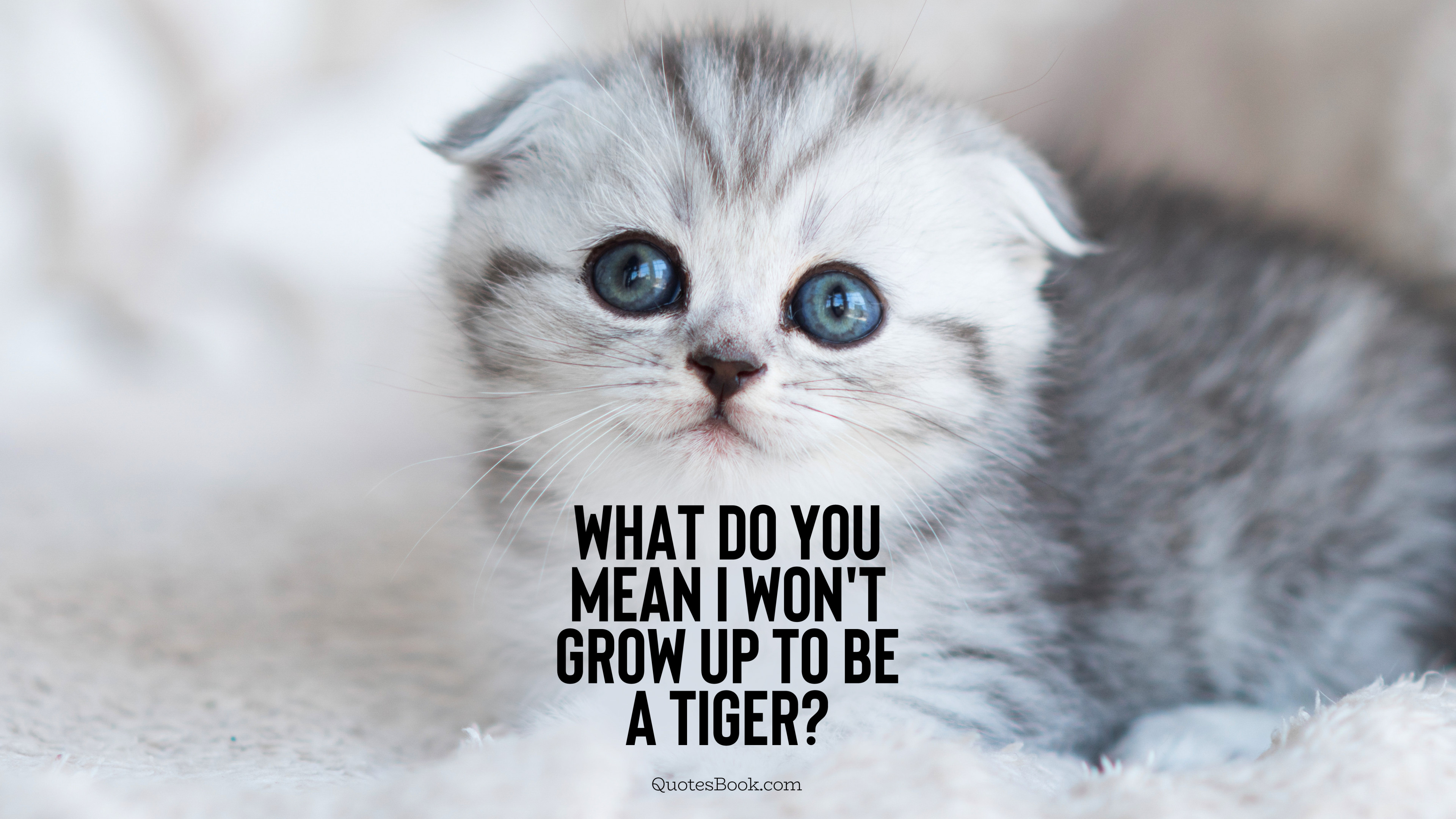 What do you mean I won't grow up to be a tiger? - QuotesBook