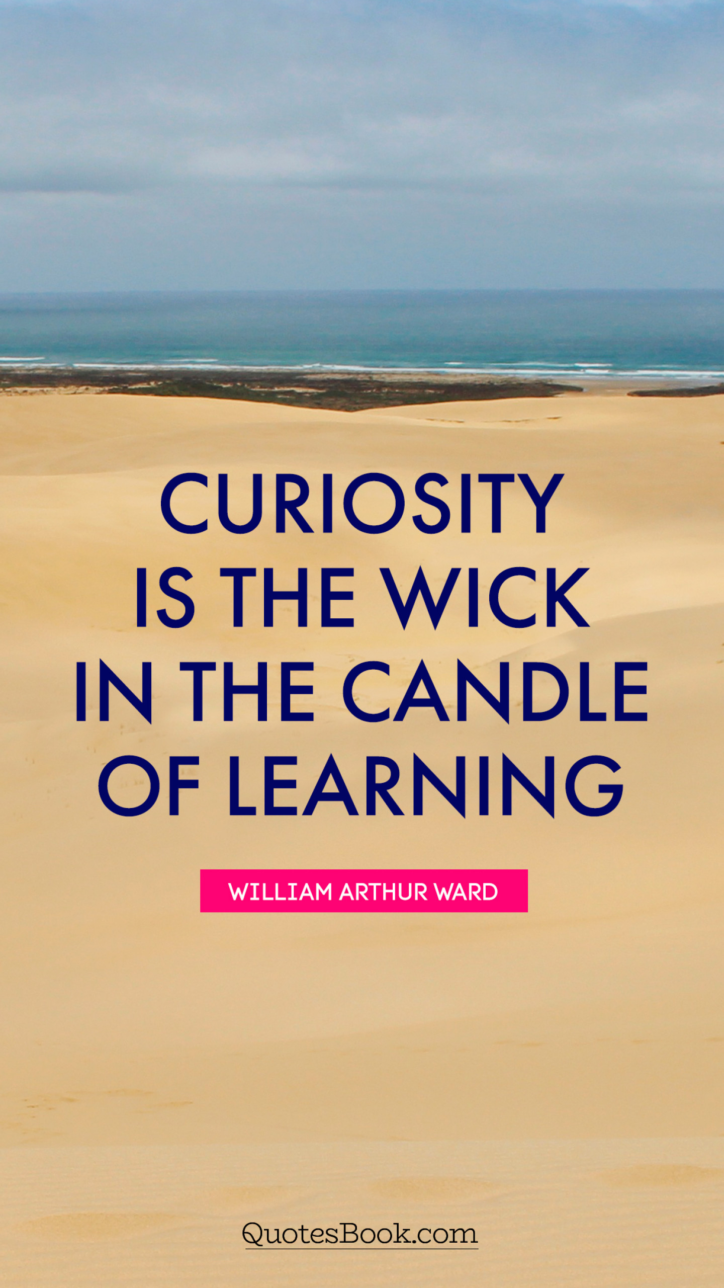 curiosity in learning essay