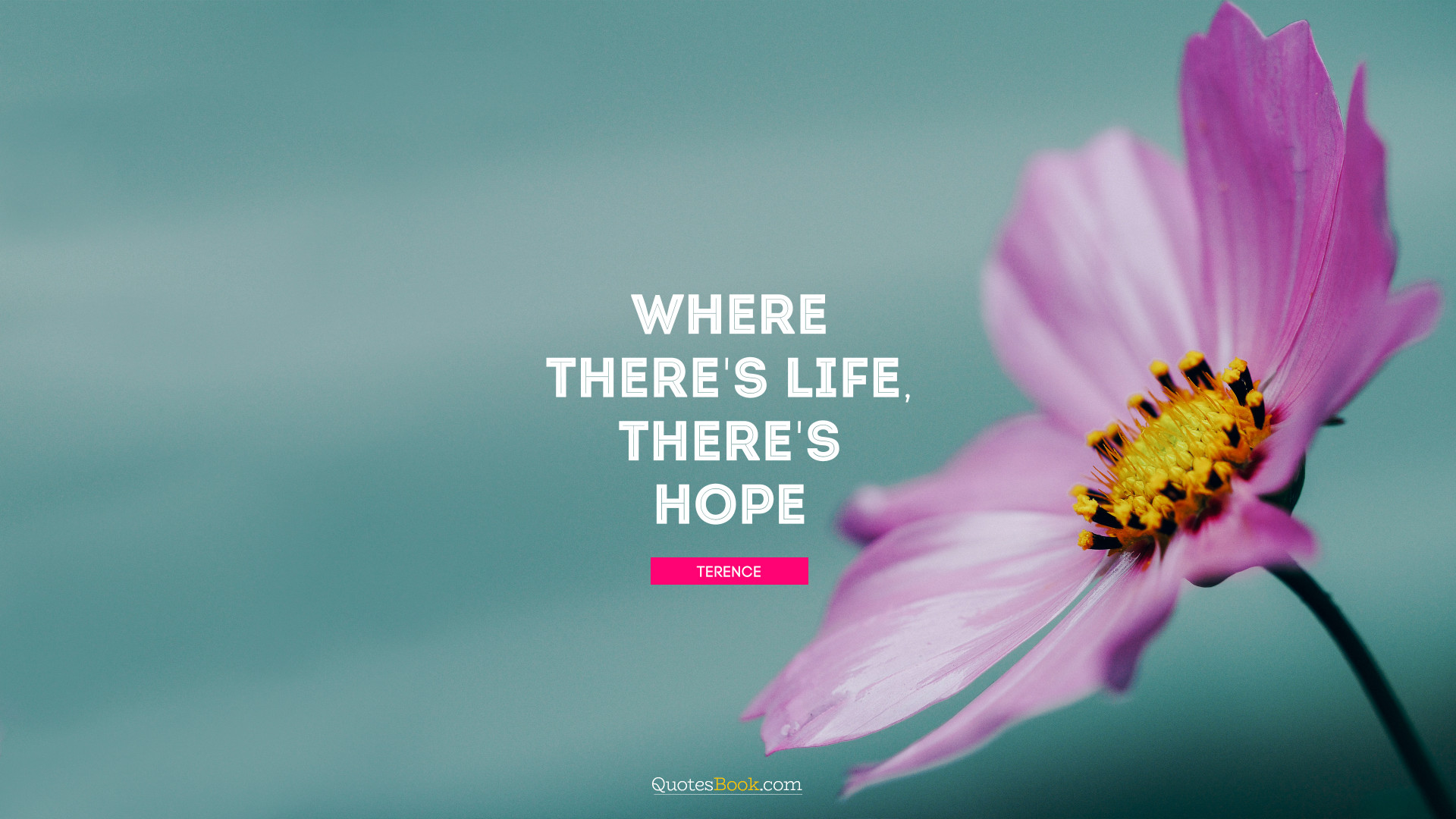 Where there's life, there's hope. - Quote by Terence - QuotesBook