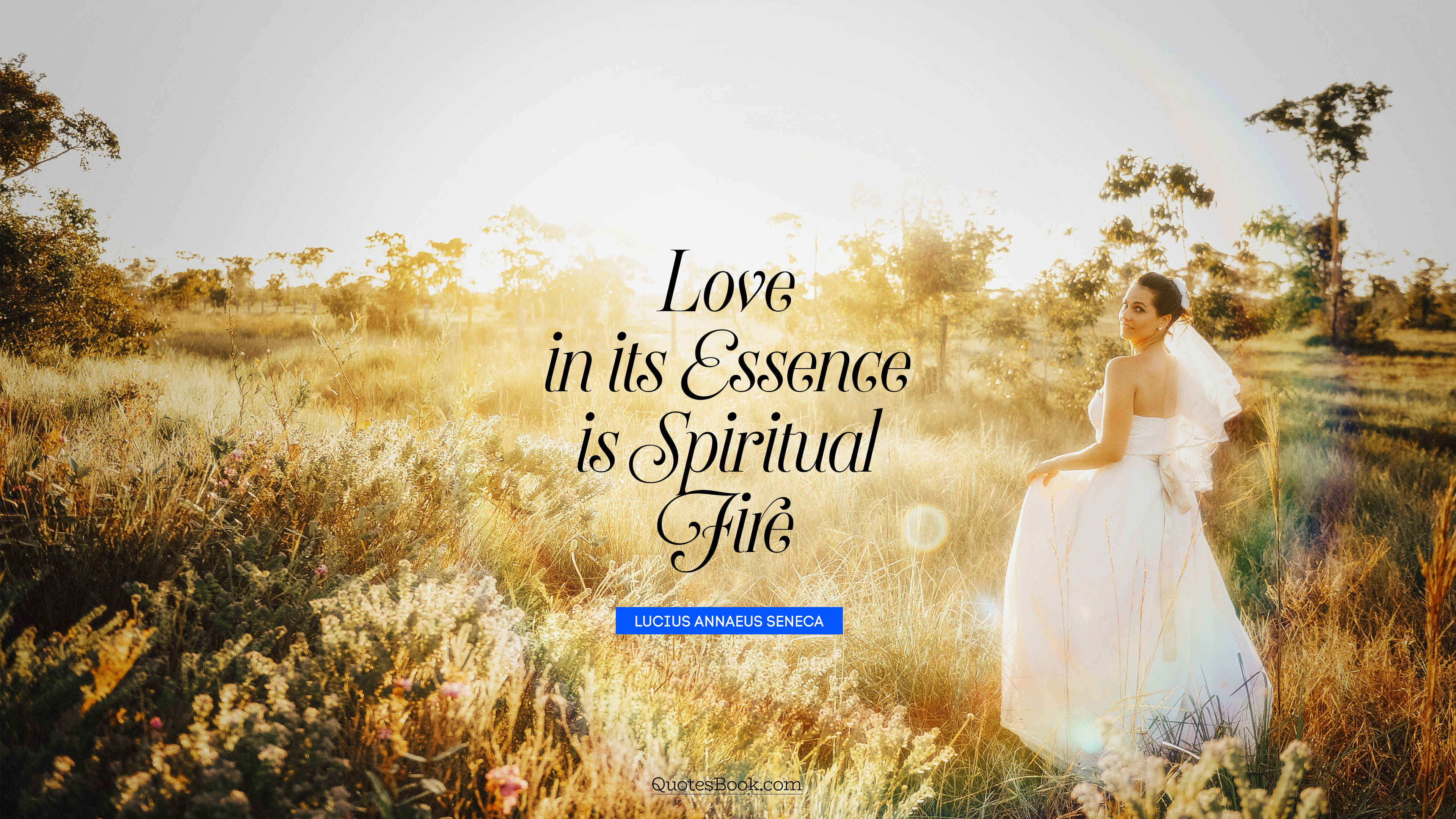 Love in its essence is spiritual fire. - Quote by Lucius Annaeus Seneca ...