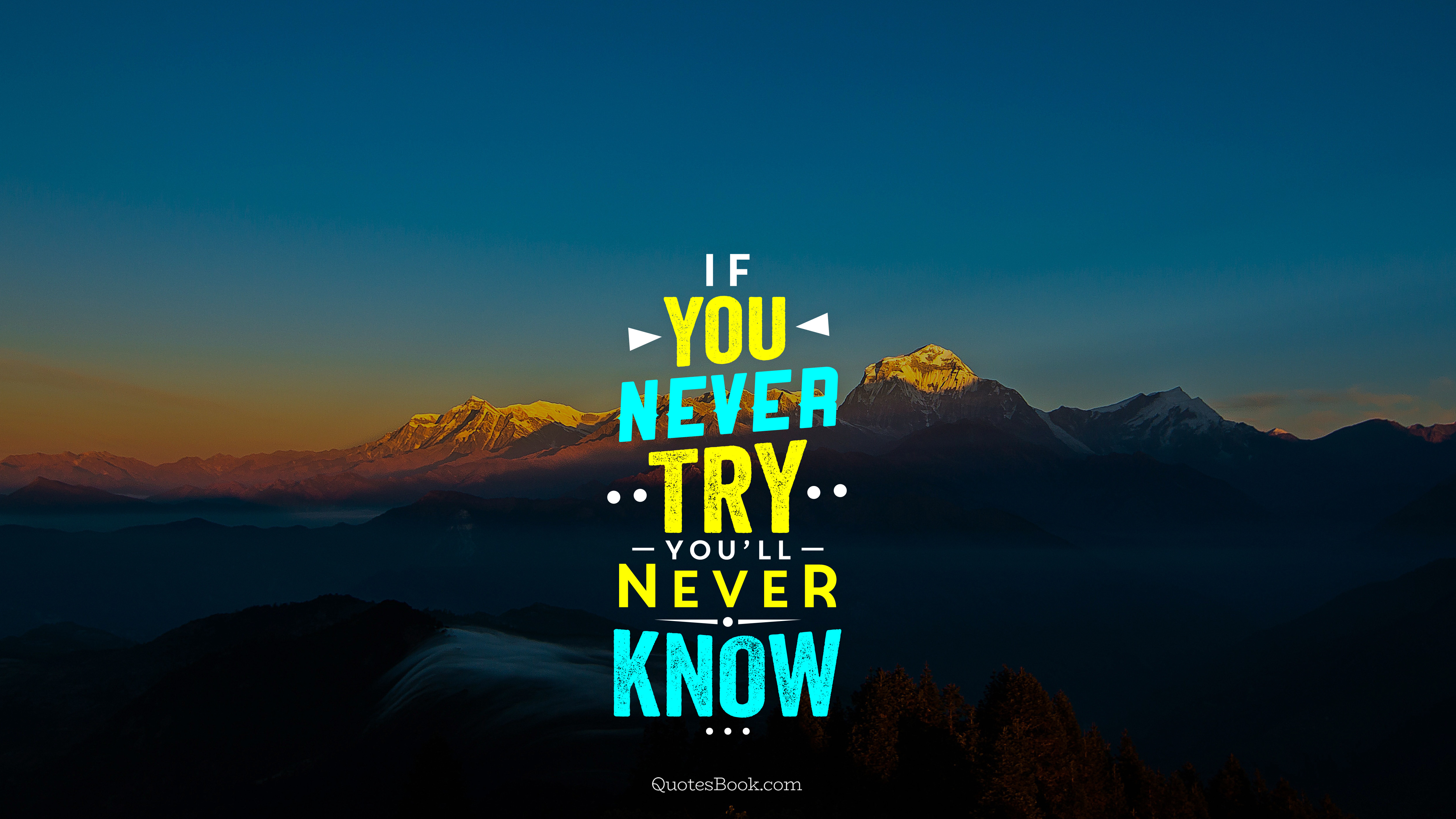 If you never try you'll never know - QuotesBook