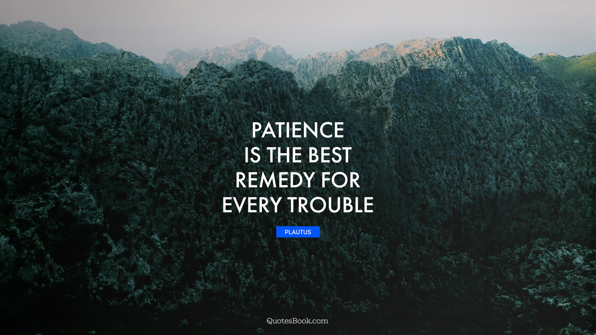 Patience is the best remedy for every trouble. Quote by